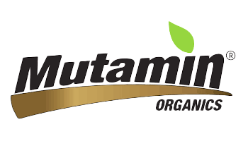 Mutamin